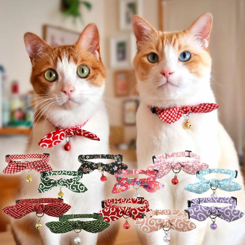 000000000224-20-l.jpg?t=