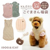 iDogこぐまさんの福袋むくむくコグマさんセットアイドッグ