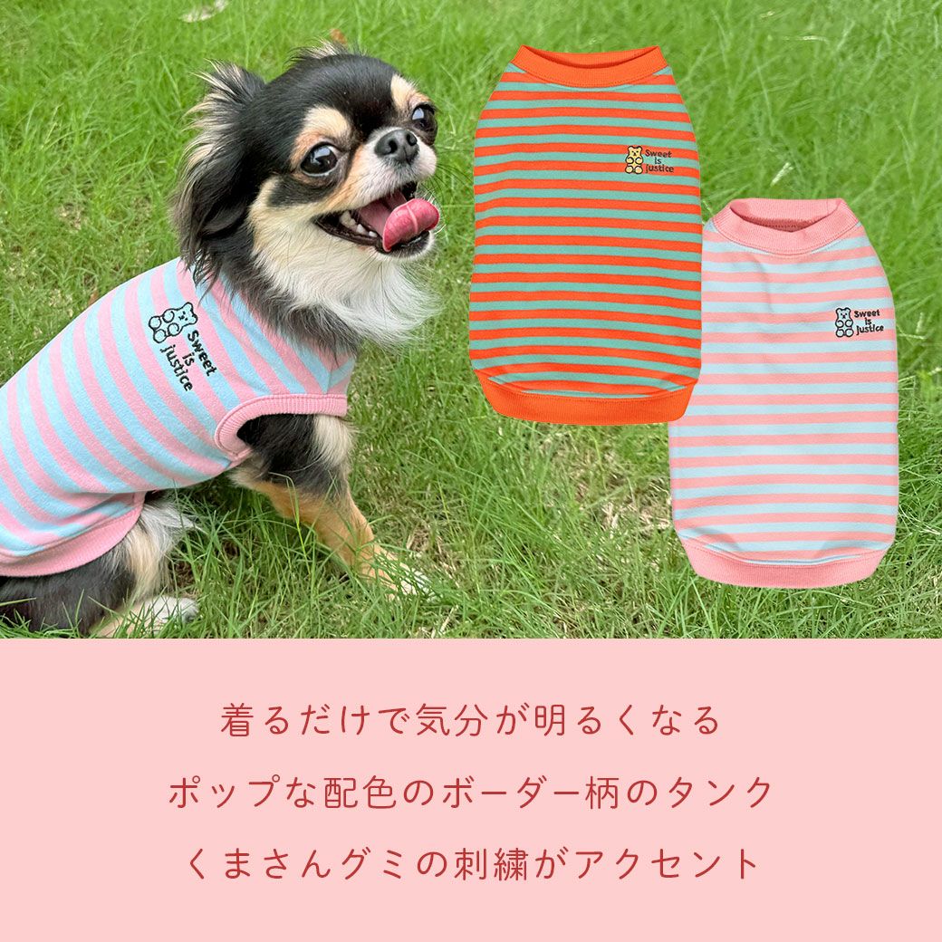 iDog おかしパーティー福袋