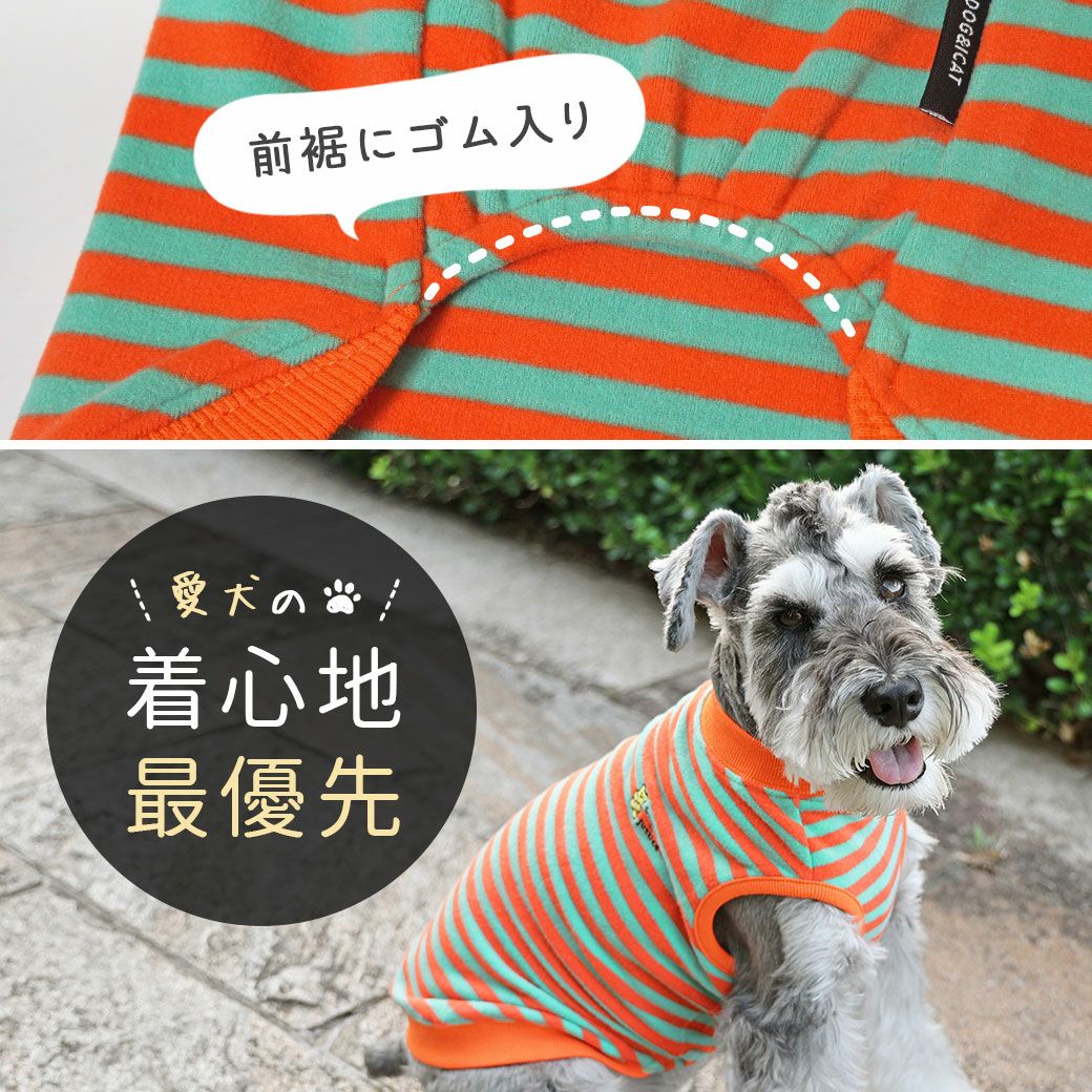 iDog おかしパーティー福袋