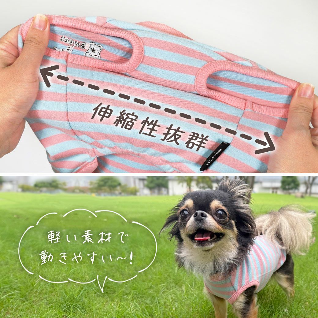 iDog おかしパーティー福袋