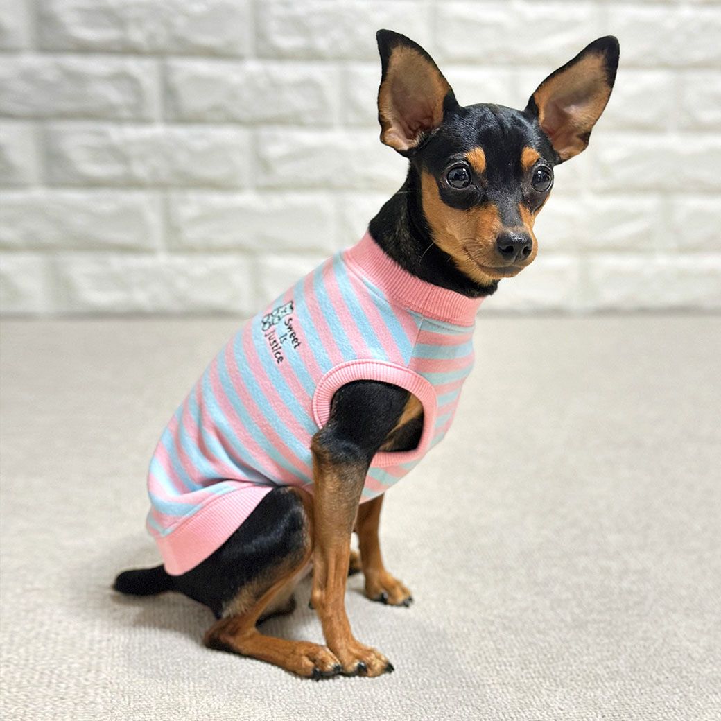 iDog おかしパーティー福袋