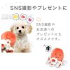 【 犬 おもちゃ 】IDOG&ICAT にょろにょろタコさん 鳴き笛入り  アイドッグ