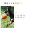 【 犬 おもちゃ 】iDog もっちりどらやき 鳴き笛入り アイドッグ