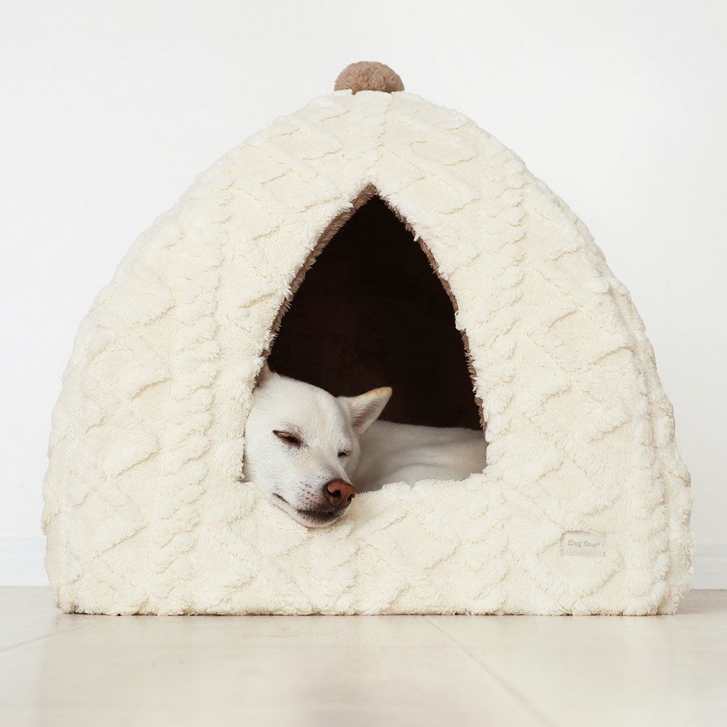 豆柴4kgのラテちゃんもアイボリーを使用