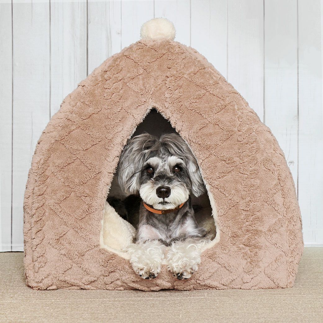 ミニチュアシュナウザー4.8kg(首22/胴39/丈29cm)のあろあちゃんはベージュを使用