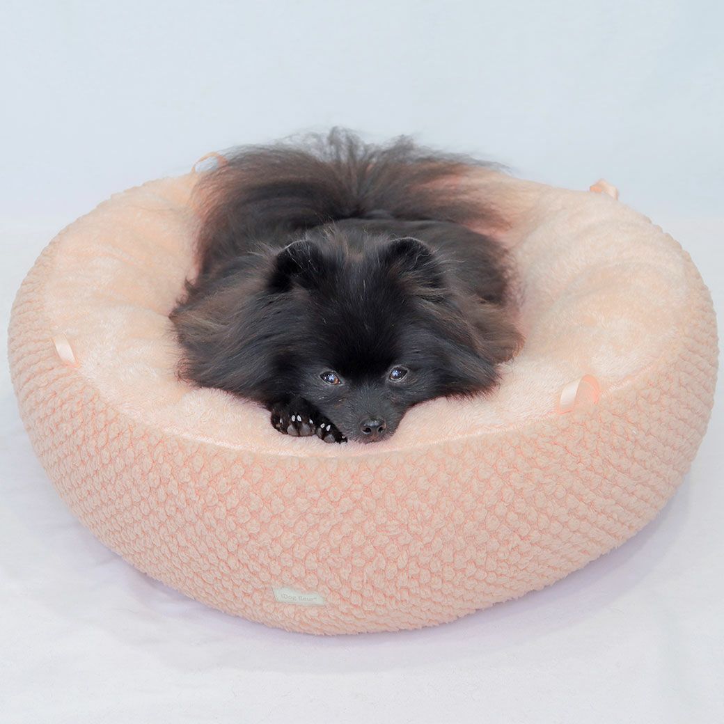 ポメラニアン2.4kg(首19/胴30/丈26cm)のはちみつちゃんはマカロンピンクを使用