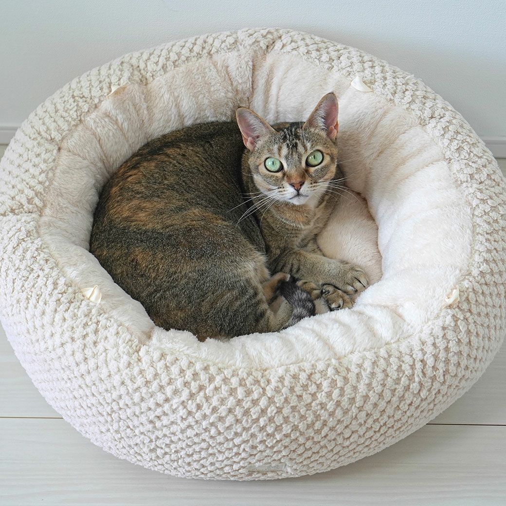 MIX4.5kg(首21/胴36/丈34cm)のニコちゃんはビスケットを使用