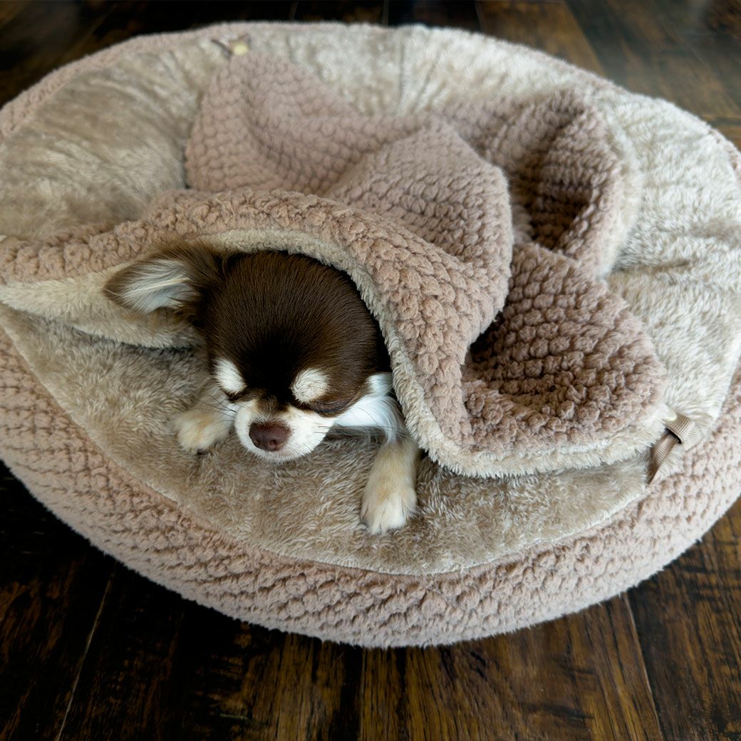 チワワ2.2kg(首18.5/胴30/丈30cm)のピクルスくんもカフェオレを使用