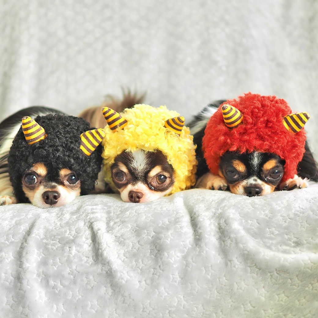 節分におすすめです