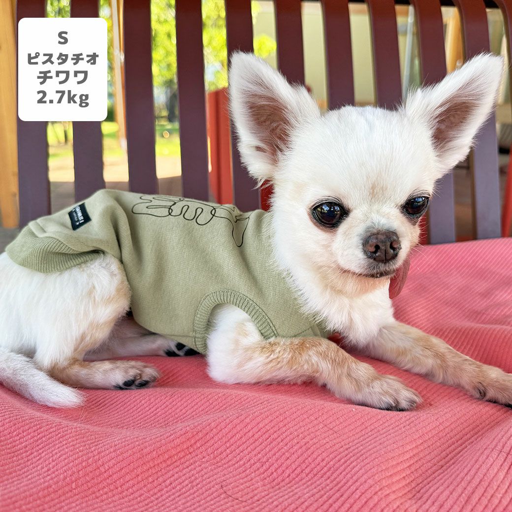 チワワ2.7kg(首19/胴30/丈27cm)のこむぎくんはピスタチオのSを着用