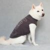 動きやすい工夫がいっぱいの犬用洋服