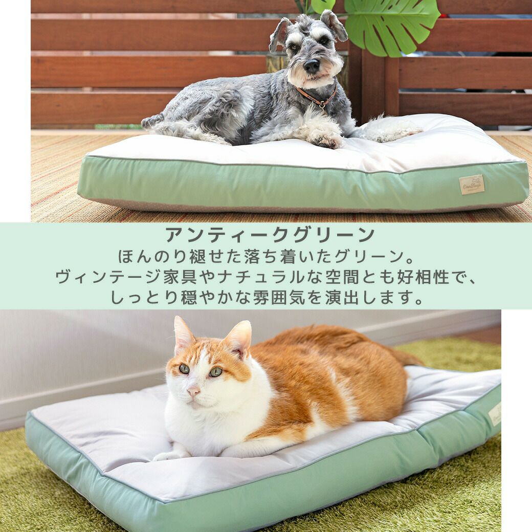 色で選ぶ、愛犬のくつろぎスペース