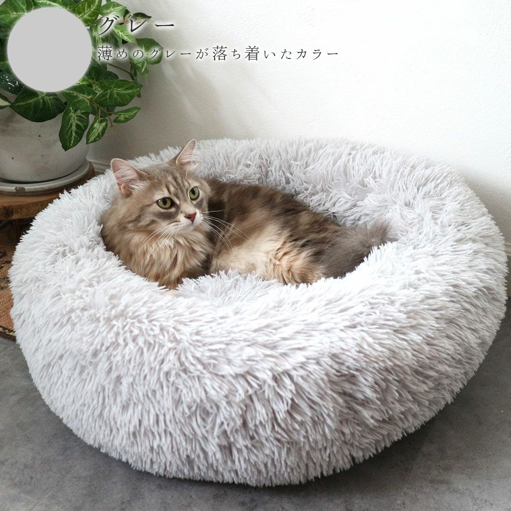 MIX4.8kgのロイくんグレー使用