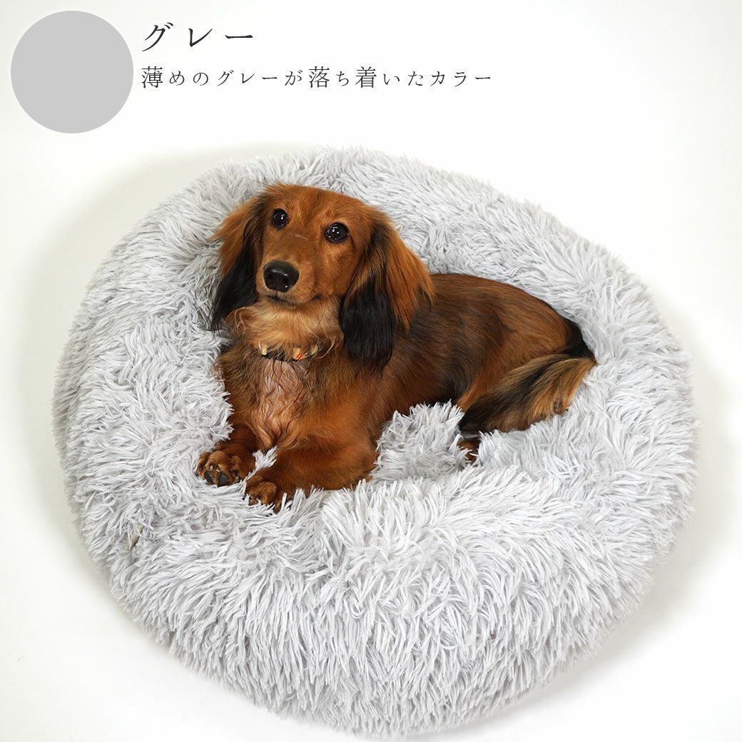 ミニチュアダックスフンド4.15kgダンケくんグレー使用