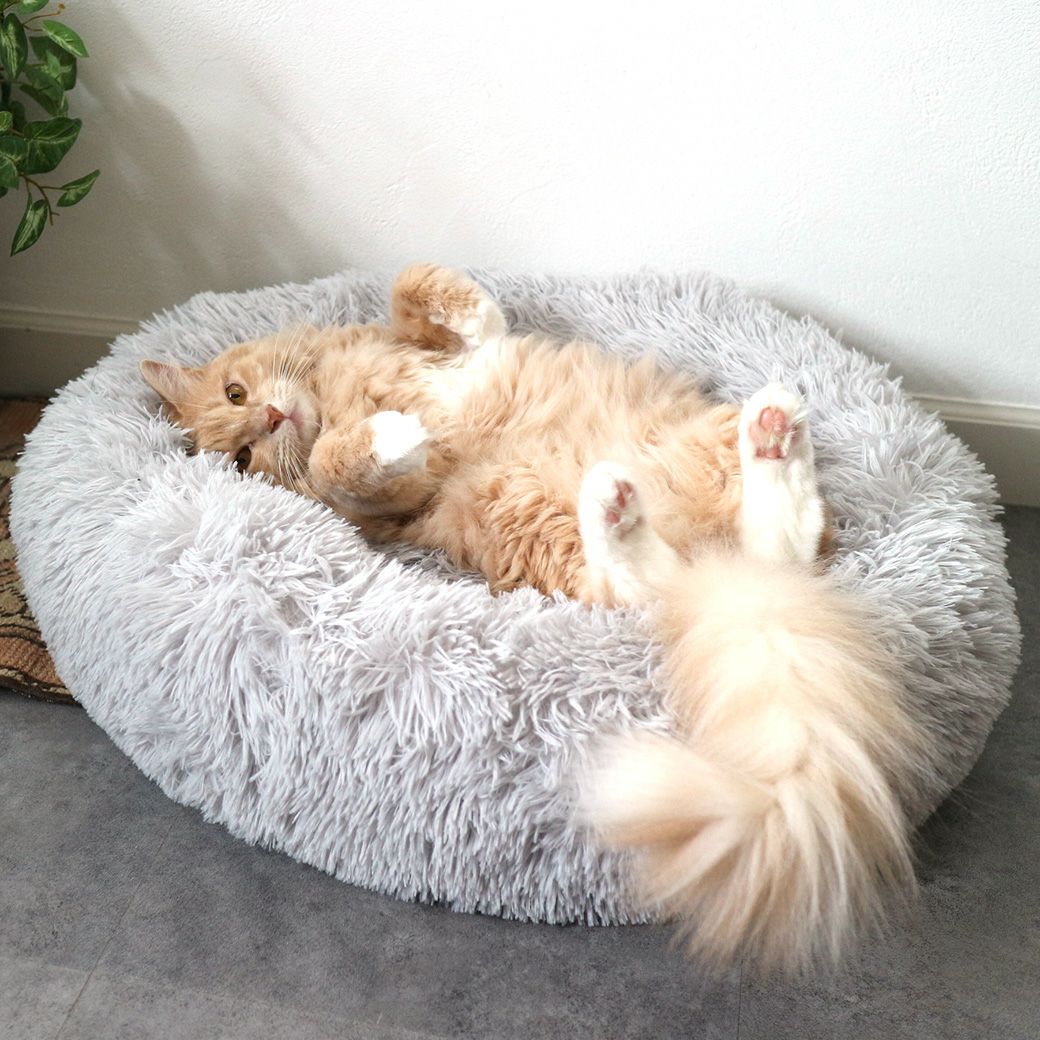 MIX5.9kgのMILOくんはグレーを使用