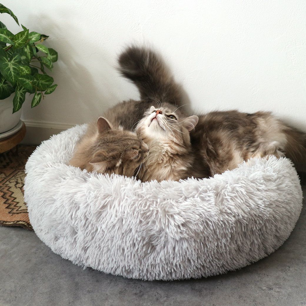 MIX4.8kgのロイくん(右)と5.8kgのサラちゃん(左)もグレーを使用