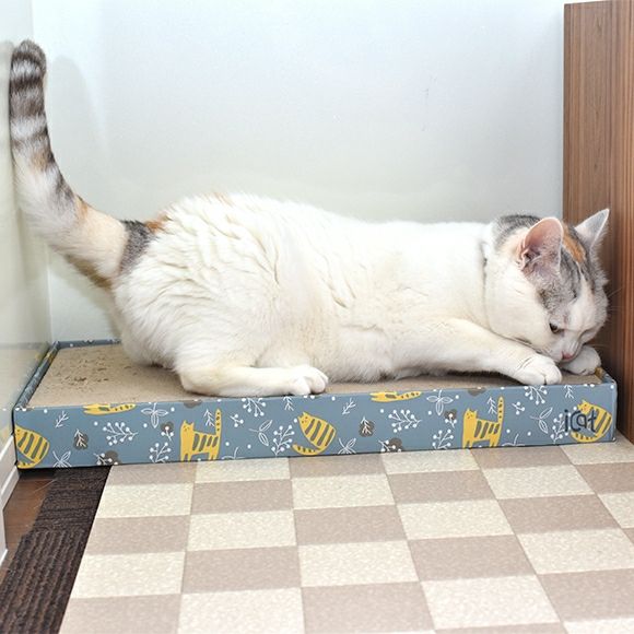 【 猫 爪とぎ 】iCat スクエアつめとぎ のはらとネコ
