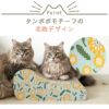 【 猫 爪とぎ 】iCat つめとぎ マスクロース ICAT×fran Sverige.