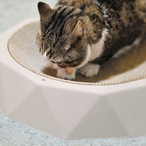 ダンボールの断面でしっかりガリガリできます。