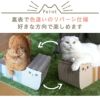 【 猫 爪とぎ 】iCat つめとぎ スコティッシュ