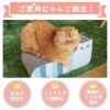 【 猫 爪とぎ 】iCat つめとぎ スコティッシュ