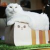 【 猫 爪とぎ 】iCat つめとぎ スコティッシュ