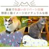 【 猫 爪とぎ 】iCat つめとぎ のはらとネコ