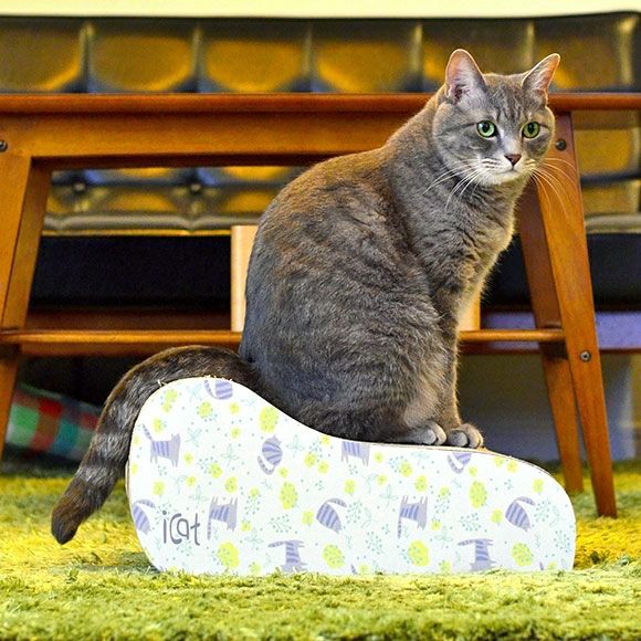 【 猫 爪とぎ 】iCat つめとぎ のはらとネコ