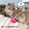 【 猫 おもちゃ 】iCat もこもこモール玉 カラカラ鈴入り アイキャット