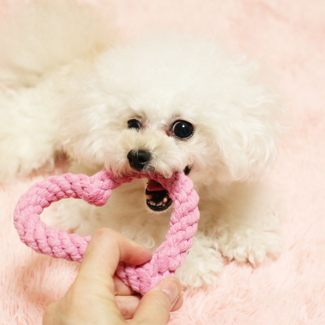 対象のベッドご購入で ロープトイ ハート プレゼント