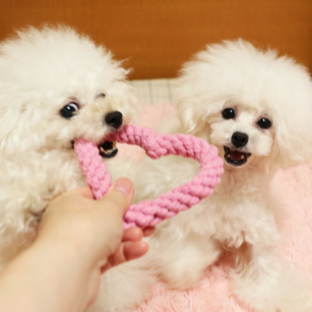 対象のベッドご購入で ロープトイ ハート プレゼント