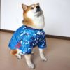 【 犬 服 春夏 】iDog 中大型犬用 カスタムプリント サッカーユニフォーム2020 メール便OK