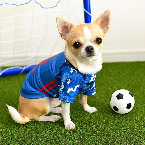 【 犬 服 春夏 】iDog カスタムプリント サッカーユニフォーム2020 メール便OK