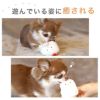 【 犬 猫 おもちゃ 】iDog iToy にわとり 鳴き笛入り アイドッグ