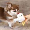 【 犬 猫 おもちゃ 】iDog iToy にわとり 鳴き笛入り アイドッグ