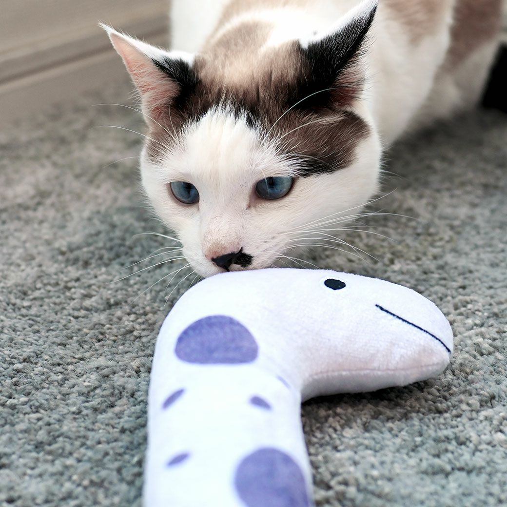 にゃんこも気になるかわいいねこおもちゃ