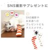 【 猫 おもちゃ 】iCat iToy ケリケリチンアナゴ キャットニップ入り アイキャット