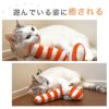 【 猫 おもちゃ 】iCat iToy ケリケリチンアナゴ キャットニップ入り アイキャット