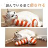【 猫 おもちゃ 】iCat iToy ケリケリチンアナゴ キャットニップ入り アイキャット