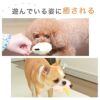 【 犬 猫 おもちゃ 】iDog iToy ひよこ 鳴き笛入り アイドッグ