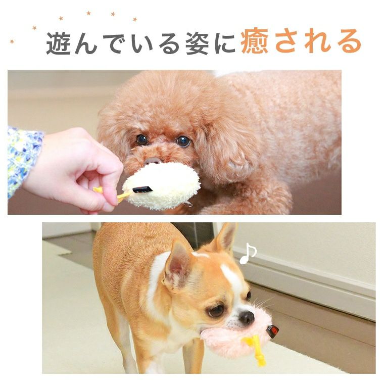 【 犬 猫 おもちゃ 】iDog iToy ひよこ 鳴き笛入り アイドッグ