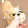 【 犬 猫 おもちゃ 】iDog iToy ひよこ 鳴き笛入り アイドッグ