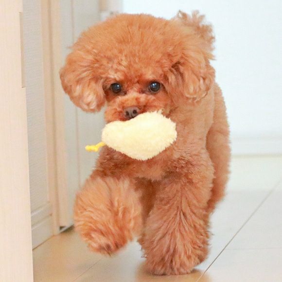 【 犬 猫 おもちゃ 】iDog iToy ひよこ 鳴き笛入り アイドッグ