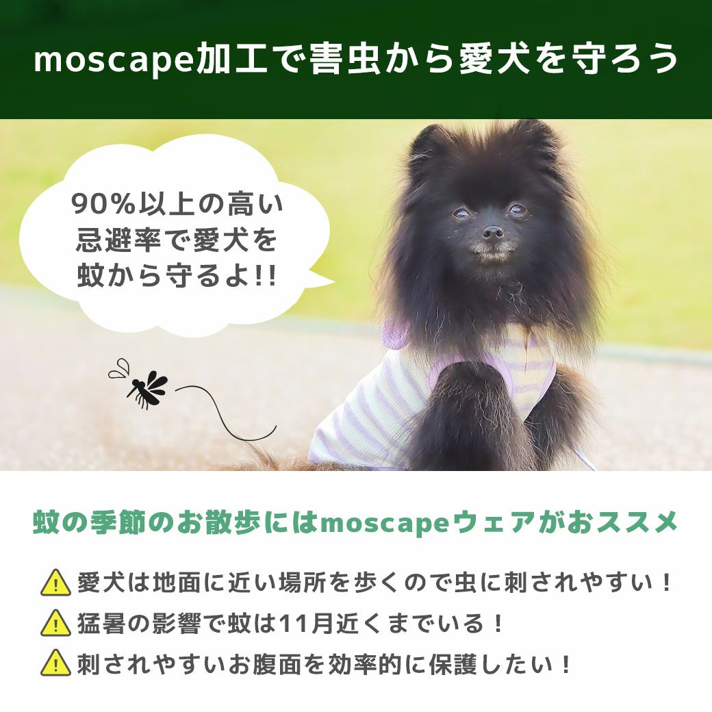 防蚊・防虫ウェアで快適にお出かけしよう！