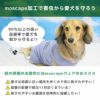 moscape加工で害虫から愛犬を守ろう！