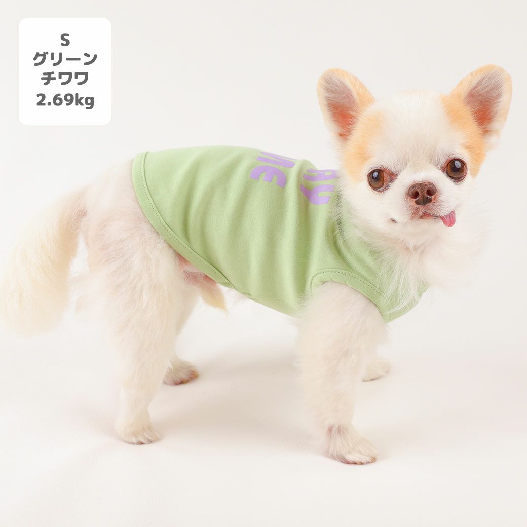 チワワ2.69kg(首21/胴34/丈25cm)の涼央くんはのグリーンSを着用