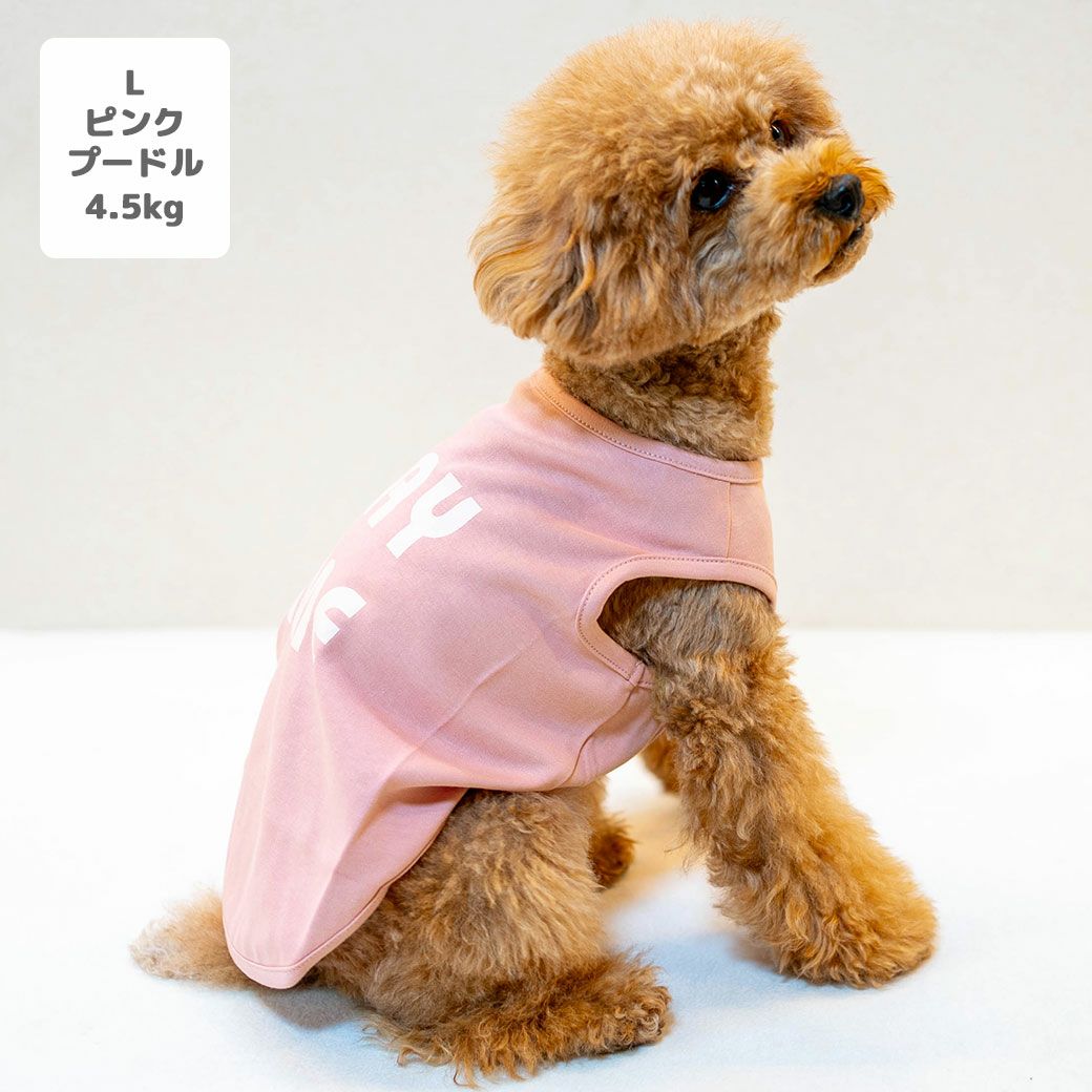 チワワ1.5kg(首19/胴27/丈18cm)のおもちくんはクラウド24のXSを着用