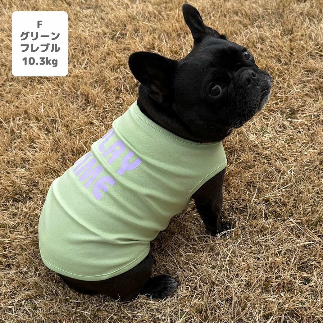 フレブル10.3kg(首38/胴56/丈34cm)のP?cheちゃんはグリーンのFを着用