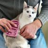 【 犬 猫 ブラシ 】iCat UTTORAJI 夢心地なマッサージブラシ しまネコ